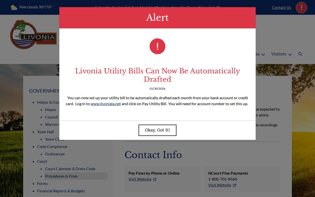 Livonia court docket procedures fines and NCourt payment route